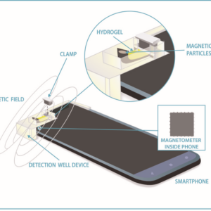 Quantitative high sensitivity measurement of liquid analytes using a smartphone compass