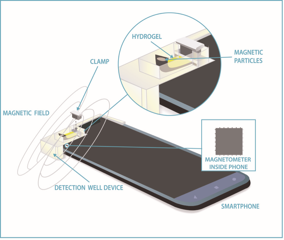 quantitative high-sensitivity measurement of liquid analytes using a smartphone compass